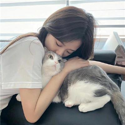 艳贼历险记